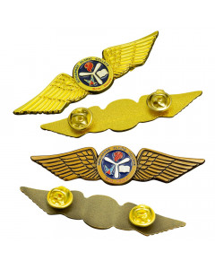 Pilot Wings Lapel Pins